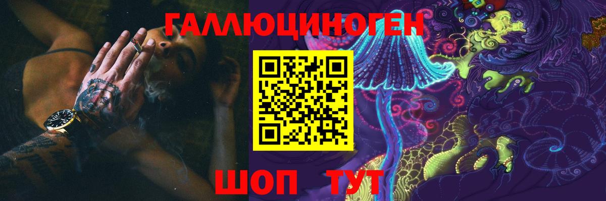 Галлюциногенные грибы Psilocybine cubensis  Вход с VPN  Саки 